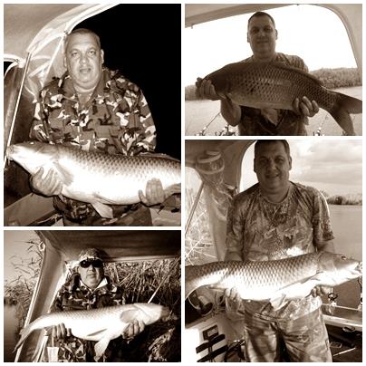 prezentare - page.jpg